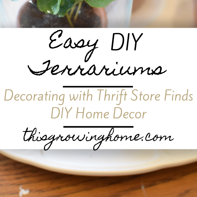 Spring Home Project – Easy DIY Terrarium